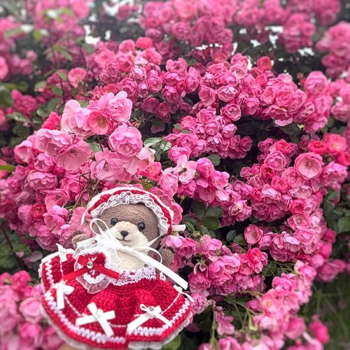ばらの つづきだよ！
あかのほかにも いろんないろ あった！
わっちは しろいのが かわいと おもったよ！
ばら もう しなしな だったけど ちょとみれて うれしかったよ！