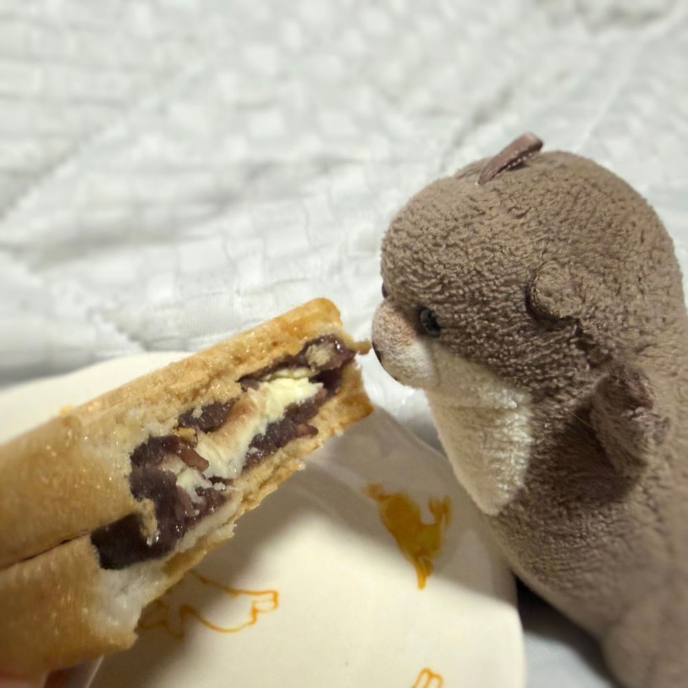 しーらかんす もなか ていう あんばた もなか もらったよ！
おみせ いつも こんでて あんま かえないから すっごく うれし
これ ばたーが すっごく おいしんだ
ろっこ あるけど すぐ なくなったよ