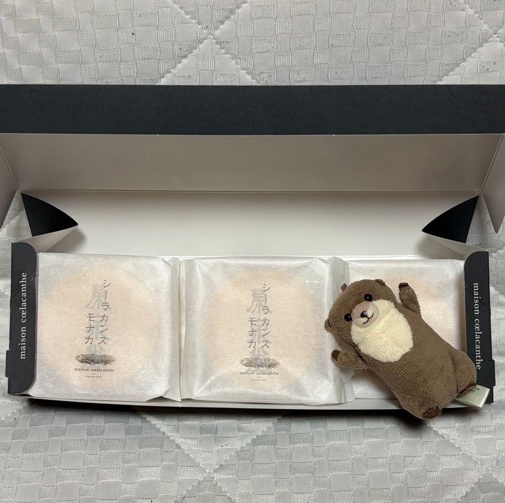 しーらかんす もなか ていう あんばた もなか もらったよ！
おみせ いつも こんでて あんま かえないから すっごく うれし
これ ばたーが すっごく おいしんだ
ろっこ あるけど すぐ なくなったよ