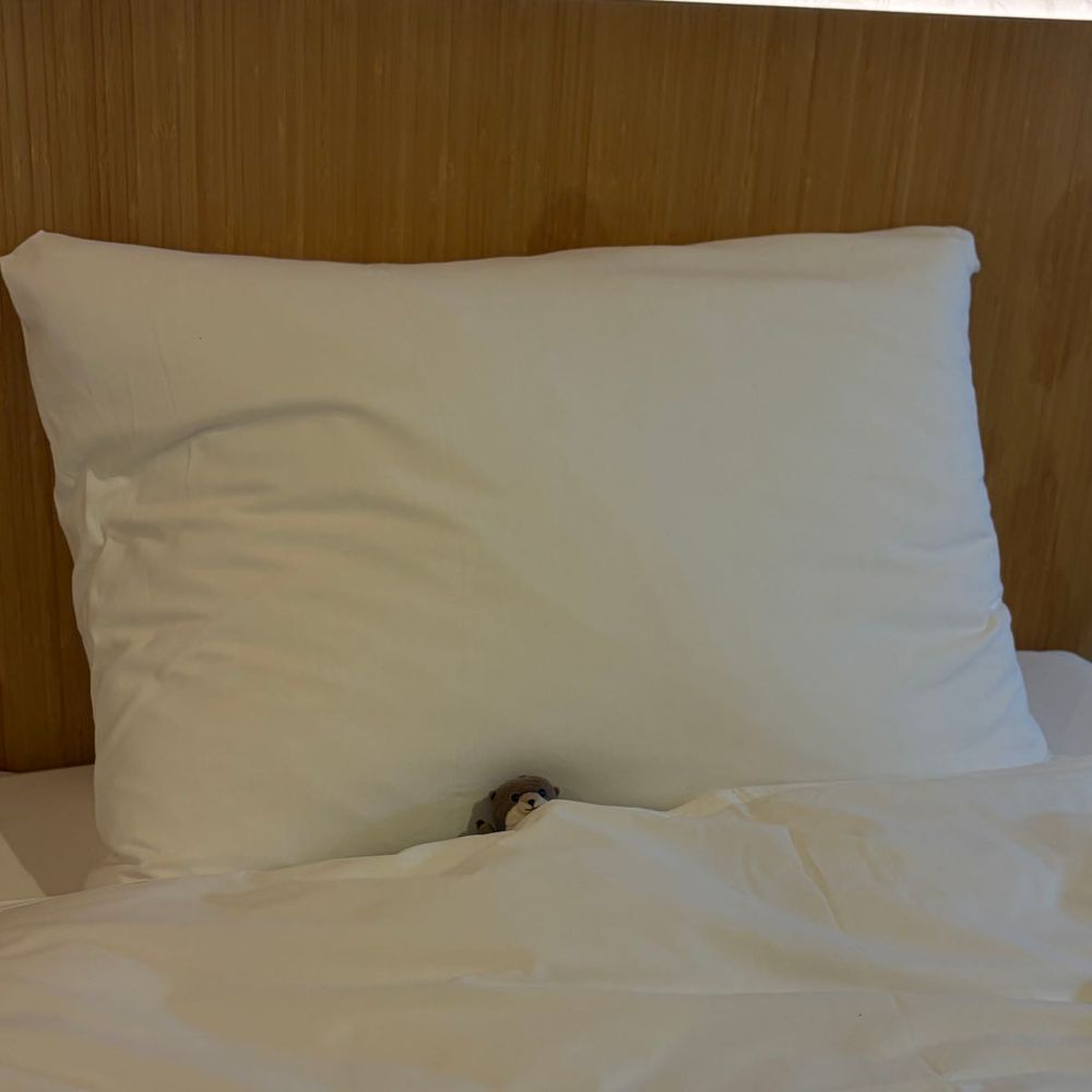 なごやに あそびに いってきたよ！！
ひつまぶし みそかつ てばさき しょぱくて おいしかった！
ななちゃん あしながくて おっきくて わっちの あこがれよ