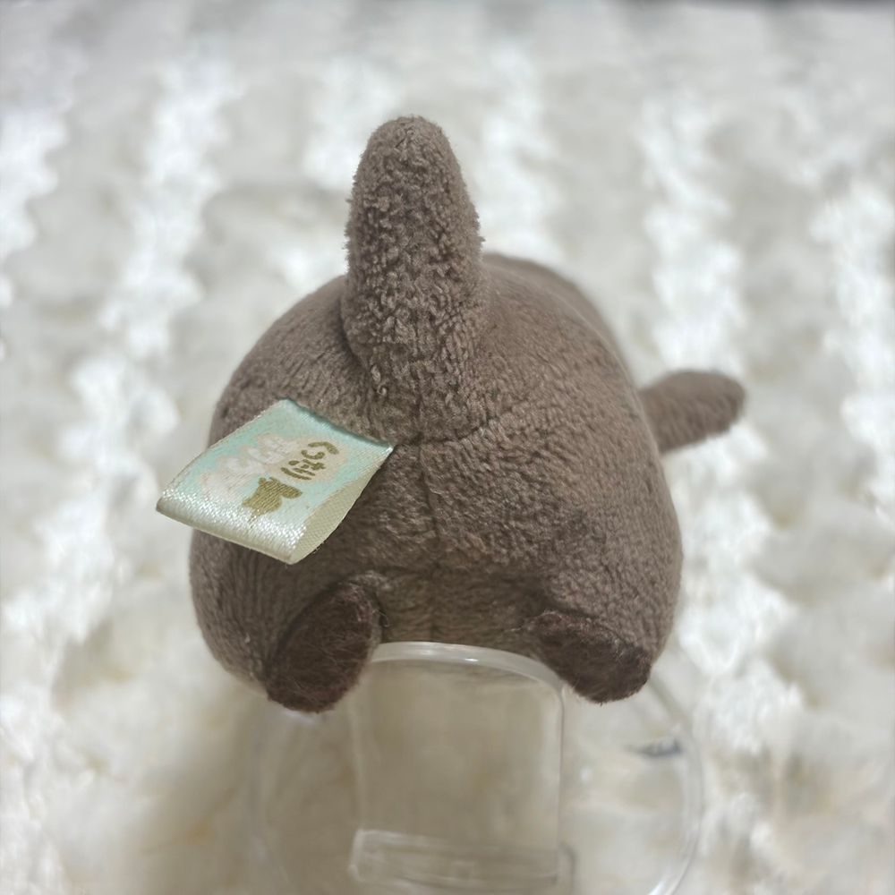 かいぬしが いんふるえんざ なって すまほ みれなかったから ちょと ひさしぶり なったよ！
はずかしけど とくべつに わっちの ぜんしん みせたげるよ
れあ だよ