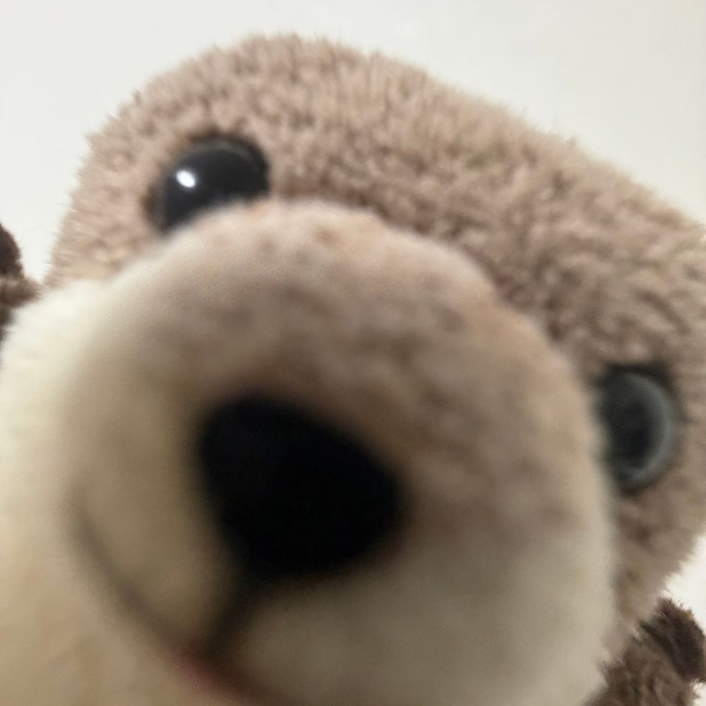 ぴんぽーん
こんばんわ わっちです
あけて