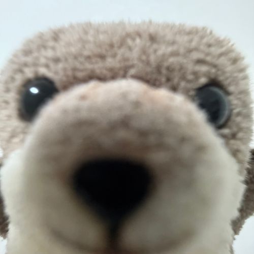 ぴんぽーん
こんばんわ わっちです
あけて