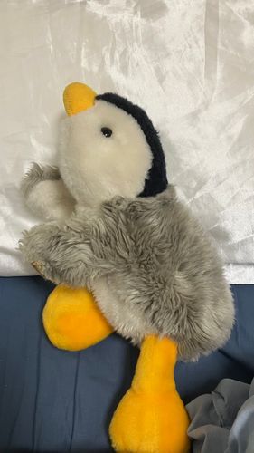 いのちょうしがわるいみたい