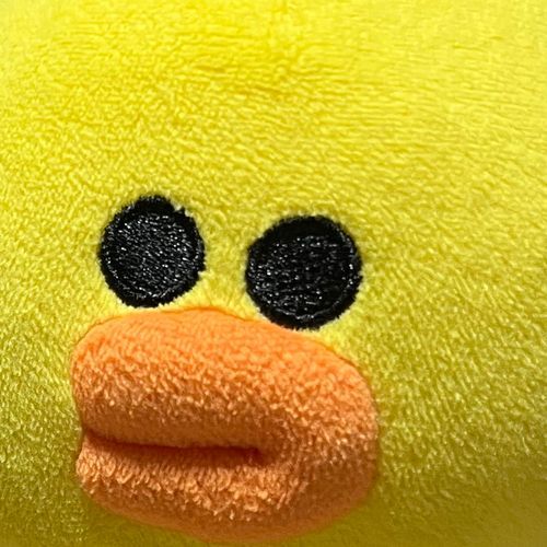 ぴをは自由
