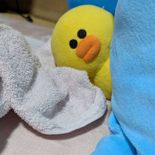 くたくたぼそぼそのタオルが良い