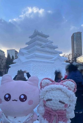 とってもおっきな雪のお城をみてきたよ^_ .̫ _^🌟