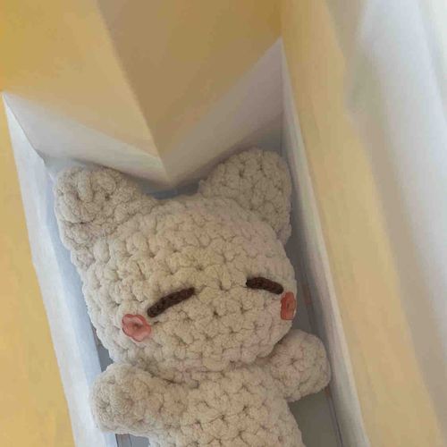 実はお顔がちょっと汚れちゃってたからおふろにはいったよ^т⩊т^

日光浴もしたから ふわふわねこさんになれたかな^_ .̫ _^