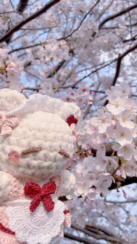 おねえさんの実習がおわって
ようやくおでかけできた(>⩊<)🎀

おはな、きれいだね🌸💗