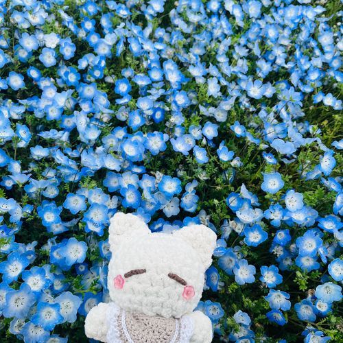 おひさしぶりだね^_ .̫ _^🩵
おねえさんと　ずっとみたかった
ねもふぃら　みてきたよ^_ .̫ _^