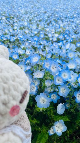 たのしかったな、早くお出かけしたいな