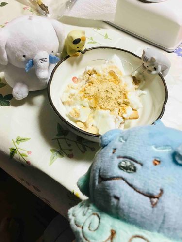 たかぴー
ココナッツサブレを入れたーヨーグルトー、１日ー冷蔵庫で冷やしましたー。美味しいスィーツのー、完成ですー♪
こうちゃん
おおおっ✨チーズケーキみたいな味がするの‼️はちみつ🍯と、きな粉かけたら最高や
