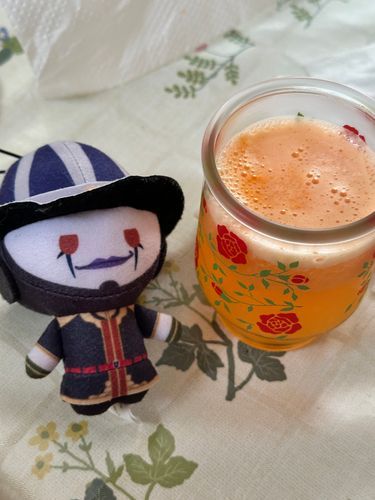 ニャンちゃん
ニャガ〜これはこれは‼️ニンジン🥕とオレンジ🍊ジュースのマリアージュですね🩷