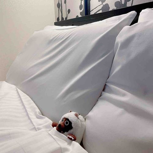 ベッドおおきいね🛏️