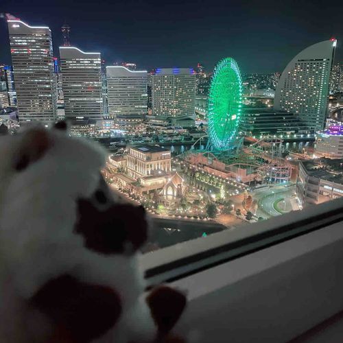 やけい🌃すごかったね