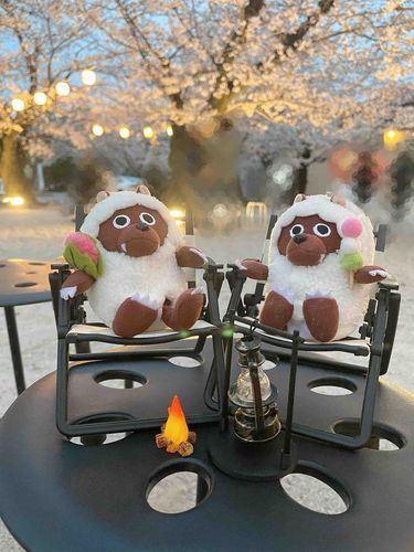 サクラ、チル🌸🍡🔥🏕️