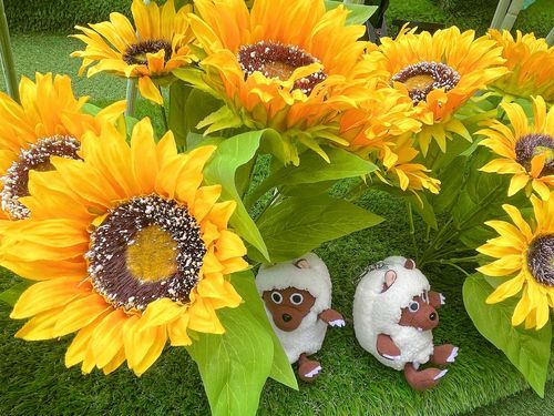 🌻