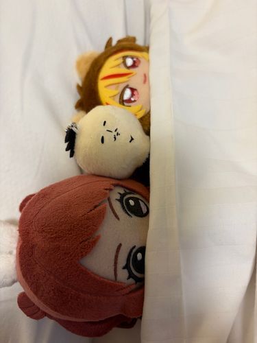 愛知
