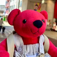 紅しょうが