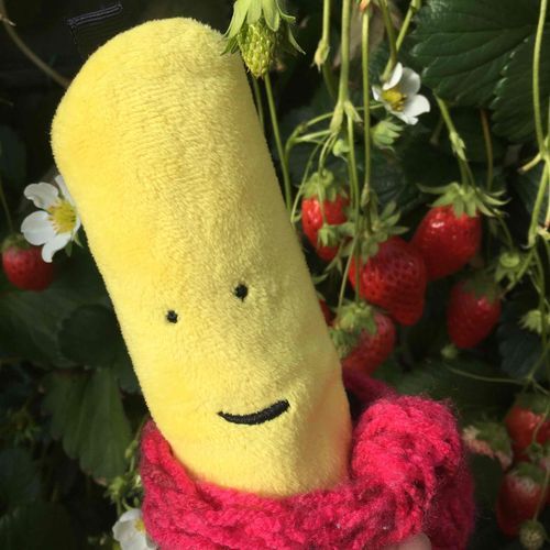 いちご狩りにいったよ。
マフラーもいちご色🍓