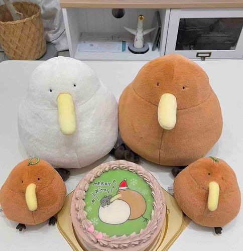 クリスマスケーキと一緒にパシャリ🎂