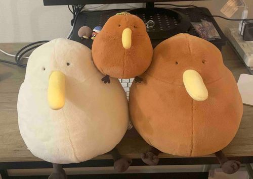 キーウィピラミッド❣️