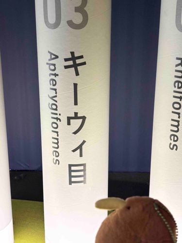 起源を知るキ…