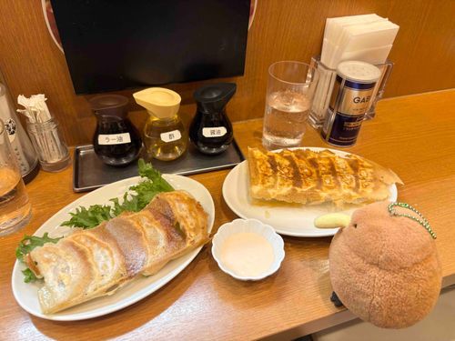 久しぶりだキィ
本場の餃子を食べにきたよ🥟
