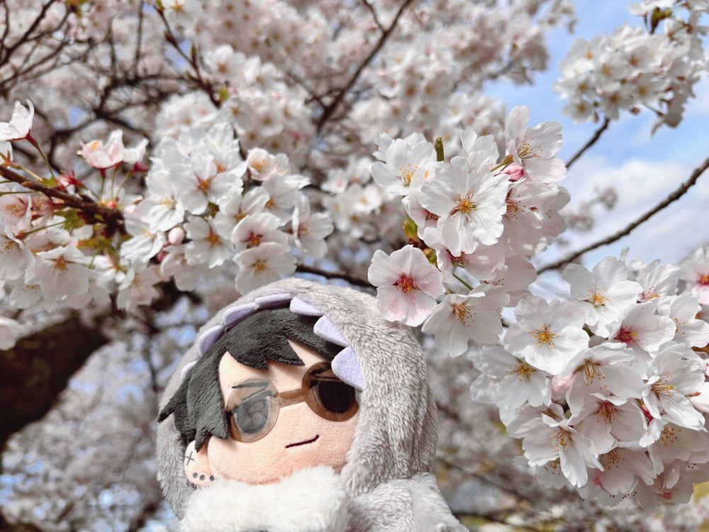 はな🌸