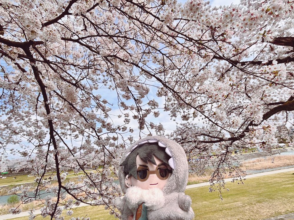 はな🌸