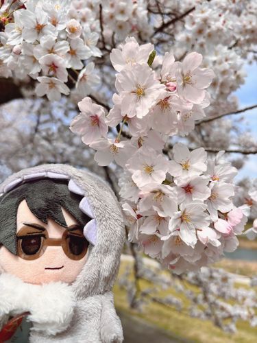 はな🌸