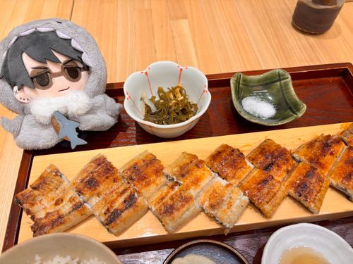 う、うなぎ…！（警戒）