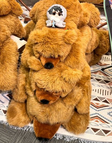 進軍🐻🐻🐻