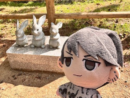 🐰