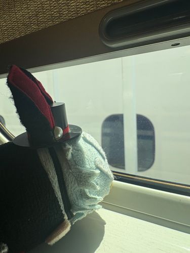 今日も、暑い。
