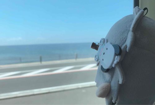 だいぶまえ、うちのが がっこうの ぎょうじに おれを つれていって くれたときの やつぜよ
えのでんの まどから そとを ながめとる おれ じゃ

「ゆっくり おみせを まわったり、しゃしんを とったりする じかんが なくて、ざんねんだったなあ」
なんて かなしそうに いっとったき、こんどは ふたりで のんびり かまくらを かんこうしたいのう
おれが おすすめ すぽっとを あんない してやるんじゃ