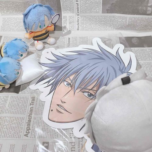 きょう、うちのと いっしょに へやを かたづけとったら、なんか でかいのが でてきての
うらがえしてみたら、おれじゃった
うちのに きいたら、
「わ！いいのを みつけてきたねえ。まえに なんじゃたうんに いったでしょ、そのときに げーむで あてた におうくんの おめんだよ」
って いうとったき、いちおう おめん らしい

……じぶんで いうのも なんじゃけど、なにに つかうんじゃ？これ