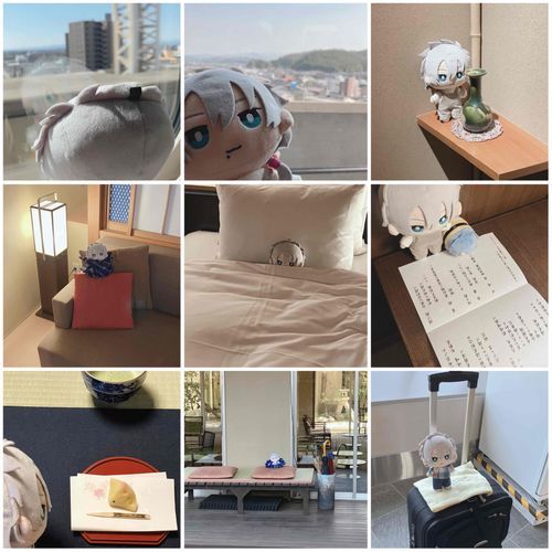 せんしゅう、うちのと いっしょに おんせんりょこうに いってきたぜよ
しんかんせんも とっきゅうも、えきべんも、みんな はじめてじゃったき、ほてるに つくまえから わくわく いっぱい だったなり
おんせんの ほかにも、かいせきりょうり やら きんつぎたいけん やら ちゃのゆたいけん やら、いろいろ たのしむことが もりだくさんで、じゅうじつした いっぱく だったのう

だいよくじょう の ほかにも、きゃくしつに ふたつきの ろてんぶろが あっての、うちのが あさに 「きもち〜」いいながら はいっとった
「おれも いっしょにはいりたい」っていったら、
「におうくんは ぬれちゃいけないから、おんせんは はいれないよ。こんどおうちではいろうね」
なんて たしなめられてしもうた
…………おれは おりこうさんじゃき、がまんくらいできる……ぜよ