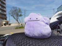 めちゃモン