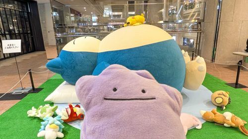 カビゴン達に会いに行きました