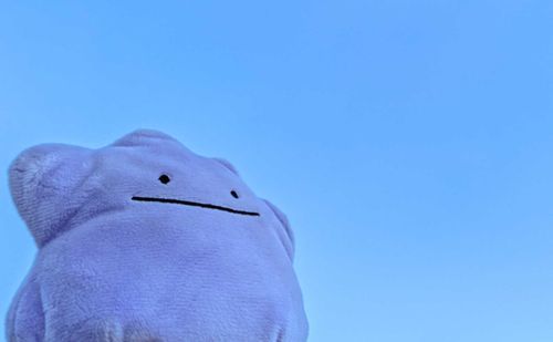 天高く馬肥ゆる秋、とはよく言うもので本日も素晴らしい天気でした。