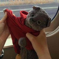 くろちゃん