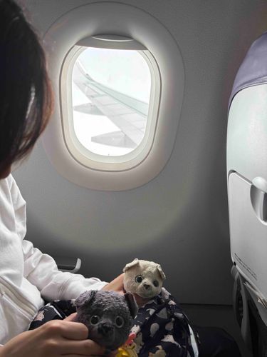 オソラトンダ✈️