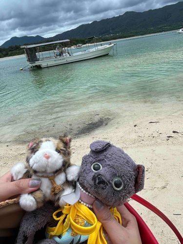 クロチャン石垣島イッテタンダ〜！クロチャンモ人間モハジメテノ沖縄ダッタケド雨イッパイフッテタ！
