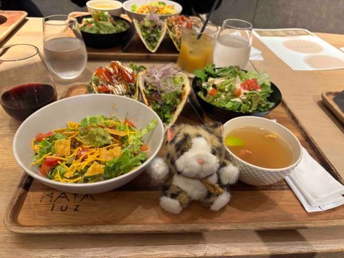 ミャミャーン！（タピちゃん人間の女子会にくっ付いて行ったの！メキシカンだって！タピちゃんにはちょっと辛かった！）