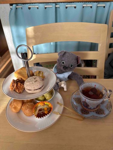 マタニンゲンガオウチアフタヌーンティーヤッテル☕️
クロチャンマカロンタベターイ！チョウダイ！