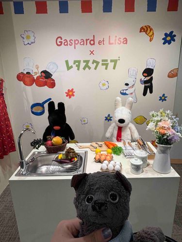 リサとガスパールとくろ（◉ᴥ◉）