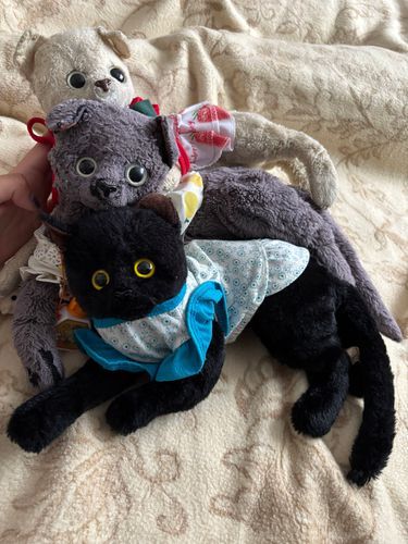 クロチャント同ジメーカーノネコチャンガオ家ニ来タ！クロチャンノ子分ニスル！
小サイケドモフモフダネ〜🐈‍⬛
…ナンデシロチャンモイルノ？