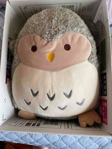 箱の中に入れられて僕はどこにいくんだろう？
　　　　　byふくたろう