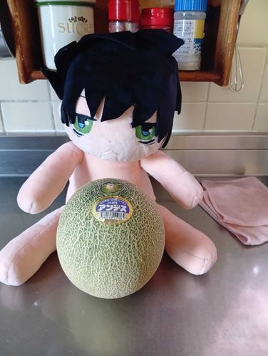 デカメロンだ🍈お盆のメロンが食べ頃だから今日妹と食べるよ!つぐたに服を作らなきゃね👕